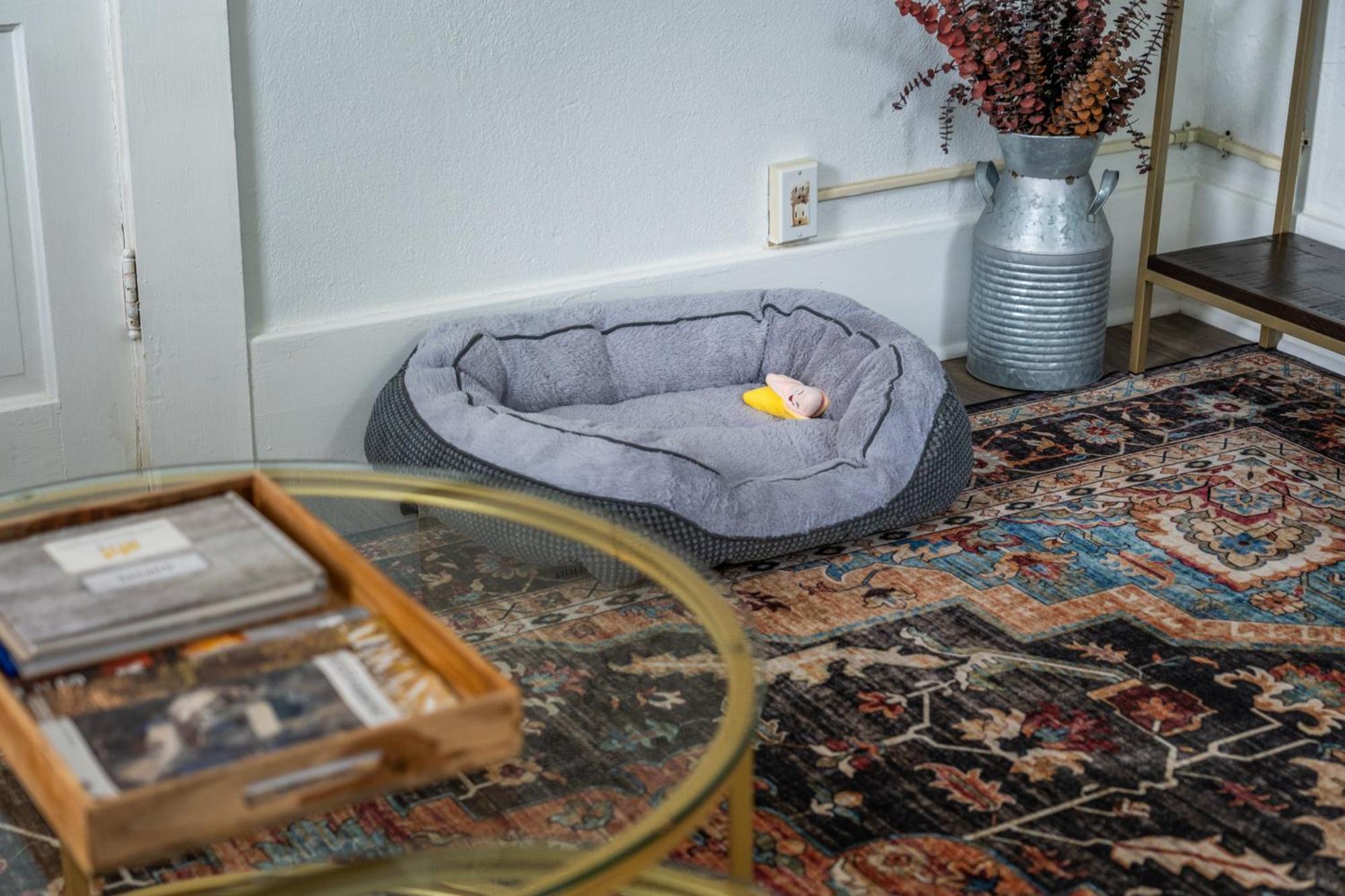 Cedar Blossom Bungalow Is A Cozy Getaway With A 5 Minute Walk To Downtown! Hot Springs Esterno foto
